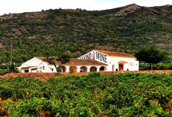 Bodegas pepe mendoza
